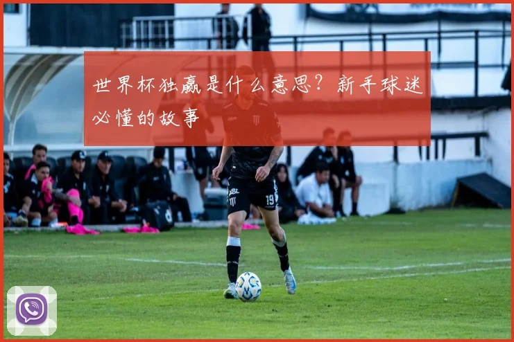 世界杯独赢是什么意思？新手球迷必懂的故事