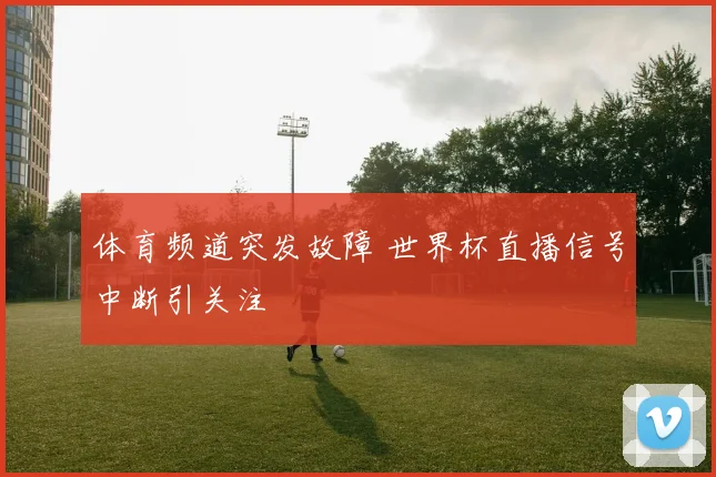 体育频道突发故障 世界杯直播信号中断引关注