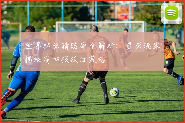世界杯竞猜赔率全解析：资深玩家揭秘高回报投注策略