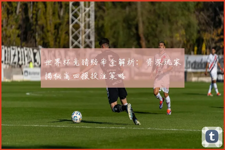 世界杯竞猜赔率全解析：资深玩家揭秘高回报投注策略