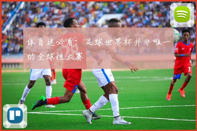 体育迷必看：足球世界杯并非唯一的全球性大赛