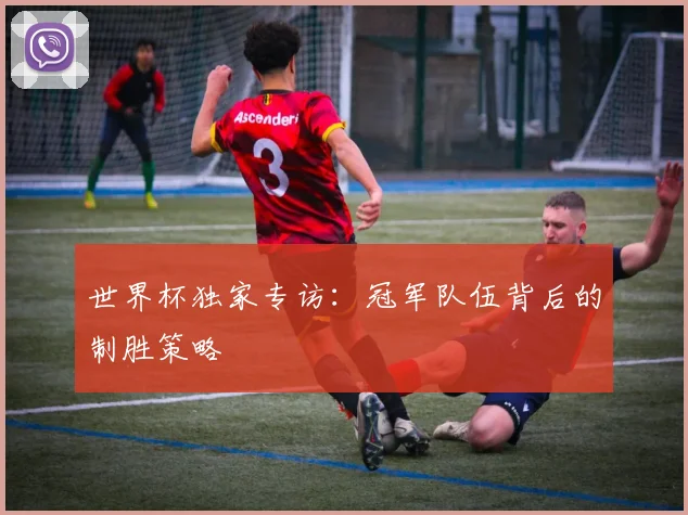 世界杯独家专访：冠军队伍背后的制胜策略