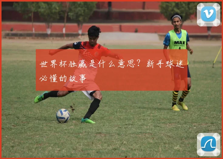 世界杯独赢是什么意思？新手球迷必懂的故事
